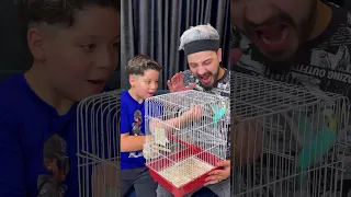 اكل العصفور                               دندنها