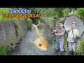 Lagu Ada Kerangka Lele Gigas Raksasa Saat Mancing Di Sungai