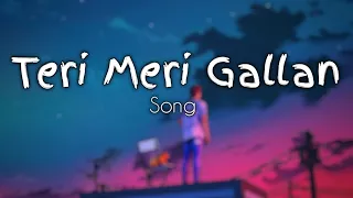 teri meri gallan hogi mashhur song terimerigallanhogimashhur song lofi love 