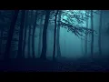 Download Lagu Forest Ambient Music for Peaceful Mind