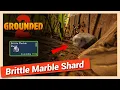 How to Get Brittle Marble Shard in Grounded 2 Quick Location Guide