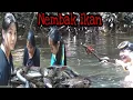 Download Lagu BERBURU KE HUTAN BERSAMA GADIS DAYAK : MENCARI IKAN , KE HULU SUNGAI, MENYELAM SUNGAI