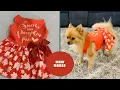 Fitwarm Holiday Theme Dog Dress for Thanksgiving Review