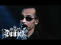 The Damned - New Rose (Live and exclusive to Lock In Live)