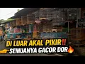 Lagu GILA‼️ DI LUAR LOGIKA‼️STOK BURUNG KIOS KECIL INI NGGAK HABIS-HABIS‼️ SEMUA GACOR DOR