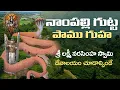Download Lagu Mysterious Snake Cave at Nampally Gutta – Must-Visit Spot!