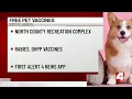 St Louis County offering free pet vaccinations this weekend