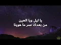 Al Shami - Ya Leil W Yal Ein (Lyrics) (كلمات) الشامي - يا ليل ويا العين
