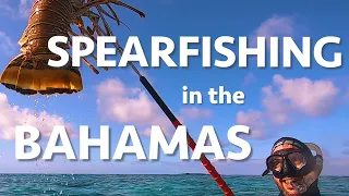 Catch, Clean, Cook: Spearfishing in the Bahamas (Calico Skies Sailing, Ep. 53)