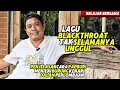 Download Lagu Penjabaran SISTEM PAPBURI dalam MENILAI KENARI di PERLOMBAAN‼️