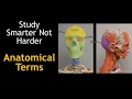 How to study Anatomical Terms