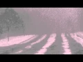 15 Batavia IL blowing and drifting snow