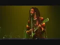 Julian Marley " Natural Mistic " Live Africa Festival (2011)