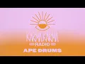 Download Lagu Karma Karma Radio 034 - Ape Drums Guest Mix