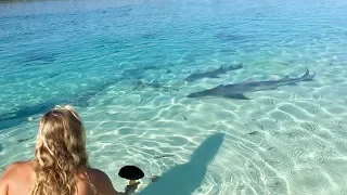 She Was FEEDING SHARKS!!!