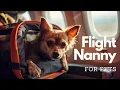 Understanding the Role of an Airline Flight Nanny for Pets