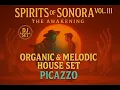 Download Lagu Organic \u0026 Melodic House Set | Spirits of Sonora Vol. III – The Awakening