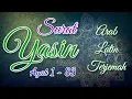 Qur'an Surat Yasin Ayat 1-83 ||  Kuntriksi Ellail || Tanpa Iklan