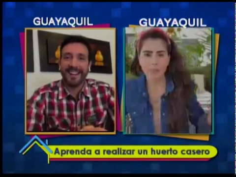 Aprenda a realizar un huerto casero