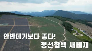 정선은 아름답지 않은 곳이 없다! 함백과 새비재 썸네일