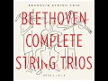String Trio No. 1 in E-Flat Major, Op. 3: II. Andante