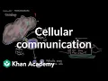 Cellular communication Cells MCAT Khan Academy