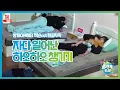 Download Lagu [한글자막]  (+eng sub) 방개아북비 放开我北鼻 자다 일어난 하오하오 챙기는 왕잭슨