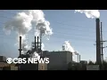 Union head speaks out on deadly fungal outbreak at Michigan paper mill