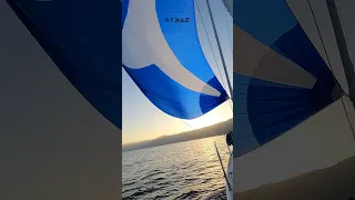 The moment the sun went down over Catalina Island #ourladydefiant  #sailboat #spinnaker #boat