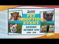 Napleton Pet Adoption