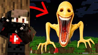 I PLAYED The Verity Mod in Minecraft!