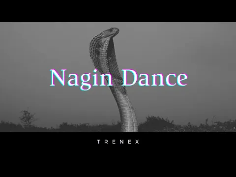 Download MP3 Trenex - Nagin Dance (Snake Music) [Official Music] • Copyright Free