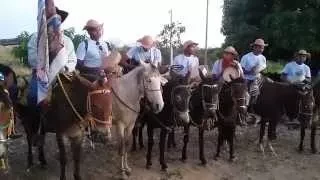 Folia de Nossa Senhora do Rosário/ Sucupira 2015