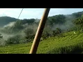 Download Lagu story wa sawah keren, pesona alam indah