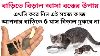 বাড়িতে বিড়াল আসা বন্ধের উপায়,barite biral theke muktir upay,Ways to get rid of cats in the house