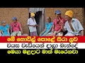 Download Lagu මේ තොවිල් පොළේ සිරා ලව | වයස වැඩියෙන් දාලා බැන්දේ | මෙයා මළදාට මාත් මැරෙනවා