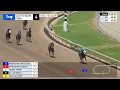 Gulfstream Park August 16 2026 Race 4
