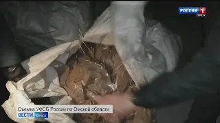 3,5 года реального срока за контрабанду грозит омичу