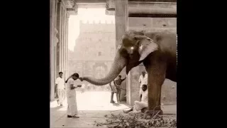  jai radha madhav deva premal dj mili booty mix 