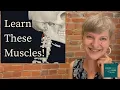 Head Neck Muscles for the MBLEx Kinesiology Made Simple Part 4 of 6
