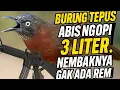 Download Lagu TEPUS KEPALA ABU NEMBAK SUPER PANJANG DAN KASAR SAMPAI hampir PUTUS NAFAS