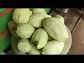 Download Lagu Buah pepaya