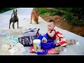 Download Lagu Full video: The rescue of an abandoned baby on the street in a kind CEO's journey to find his lover