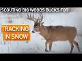 How to SCOUT BIG WOODS BUCKS Prepare for TRACKING IN SNOW
