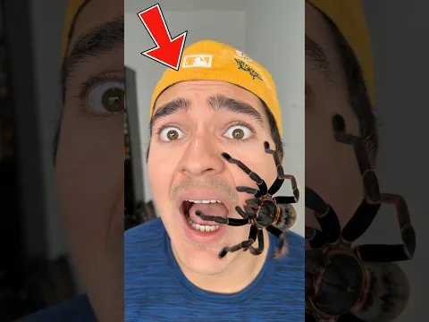Hay una ARAÑA 🕷️ En Mi CUARTO 😱🛌 #shorts