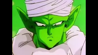 unity of power piccolo and nail s fusion