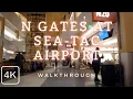 Exploring the Sea-Tac Airport N Gate Walk at Seattle Tacoma International Airport Seattle WA