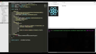 How to setup webpack dev server using node js api