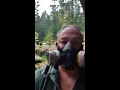 Pollen Apocalypse in Washington State