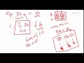 Bio 181 Genetics Practice Problems Part 1 questions 1 thru 11